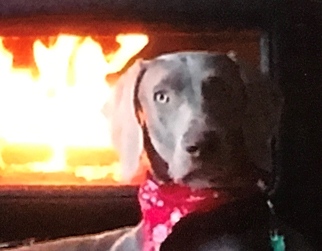 Kona
