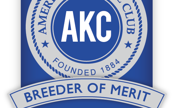 The AKC Official Standard for the Weimaraner AKC Breeder of Merit
