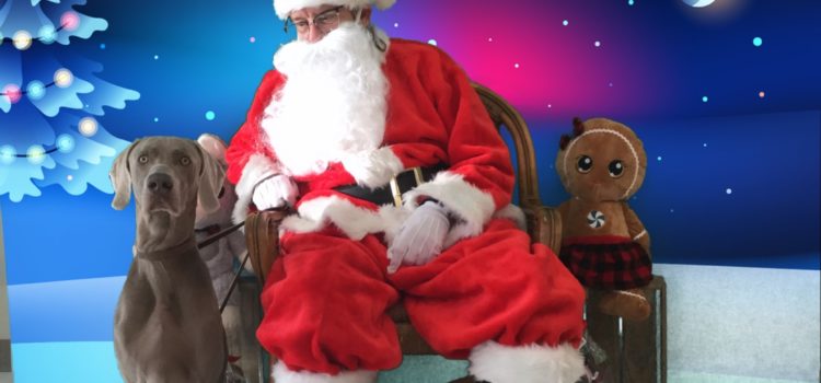 From all of us at Starwood Kennel….Happy Holidays Blog Happy New Year
