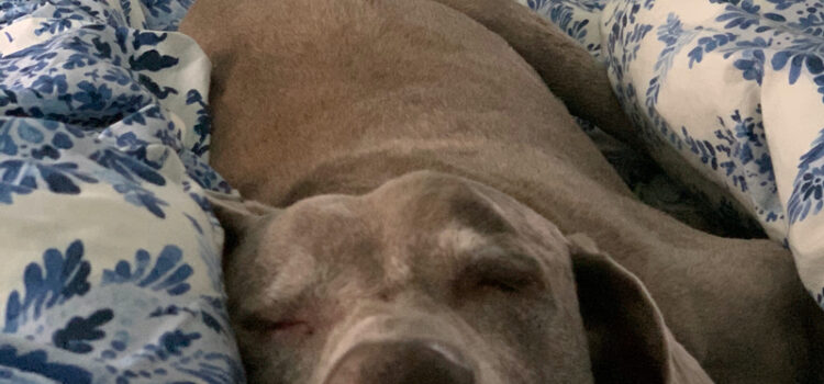 Clive at 13 years old Clive at 13 years old