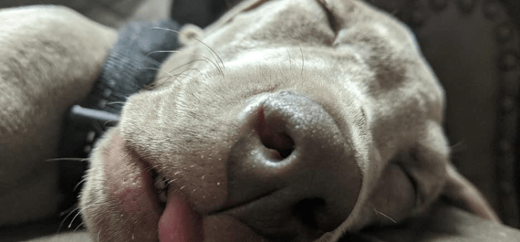 Update on Jax