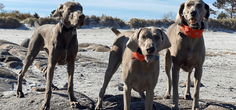 Walter & Addie update