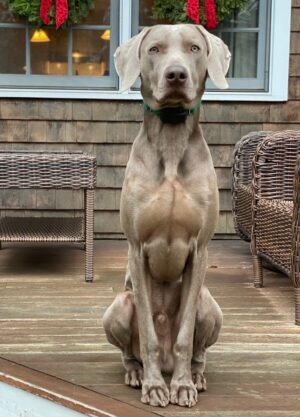 Kasper's 1st Birthday