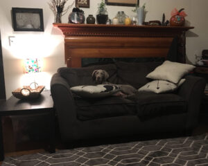 Roscoe