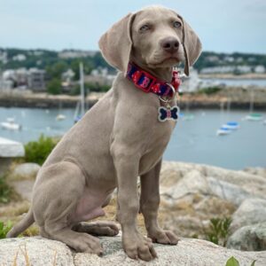 Judge @ 10 weeks at the ocean