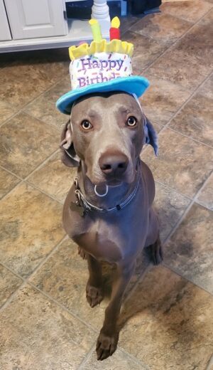 Titan's 1st Birthday