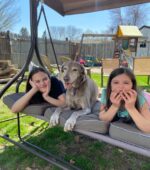 Starwood Kennels - celebrating Ava