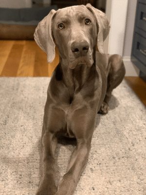 Walter @ 9 months