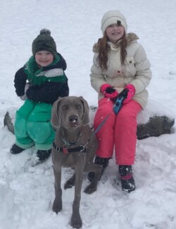 Moose at 6 months Starwood Kennel