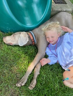 Sultan Starwood Kennels