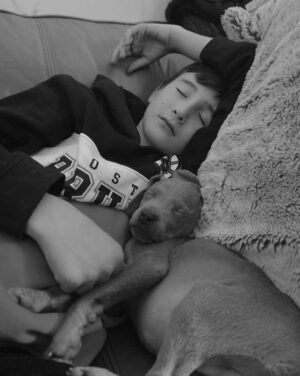 Puppy Blitz