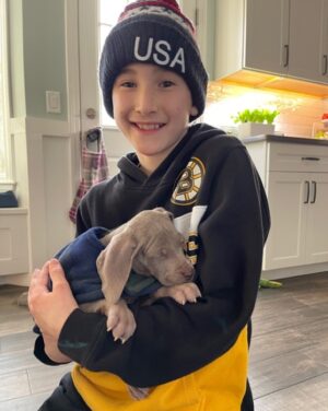 Puppy Blitz