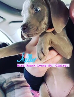 Frankie @ 8 weeks